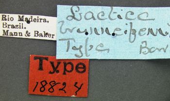 Media type: image; Entomology 18824   Aspect: labels